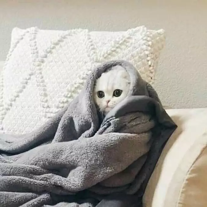 Super Cuddly
