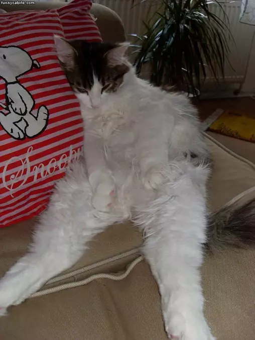 Chillin