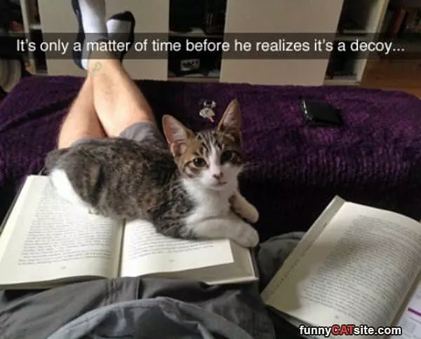 Only A Matter Of Time