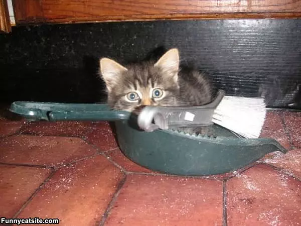 Hiding