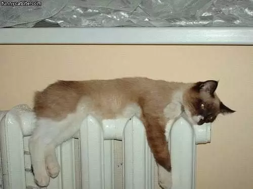 Warmest Place