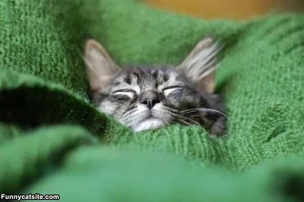 I Am Just Relaxing