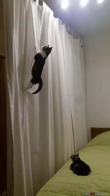Climbing Skills