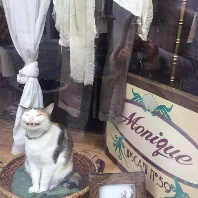 A Big Smile For The Picture