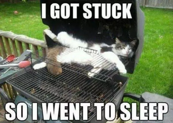 Got Stuck So I Went To Sleep