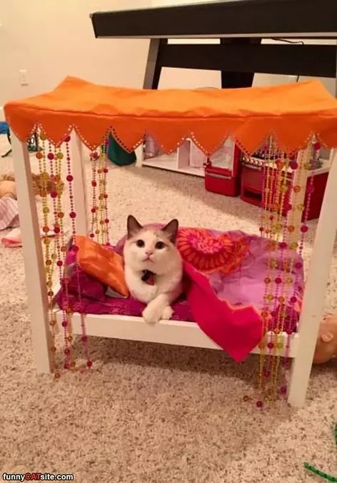 My Princess Bed