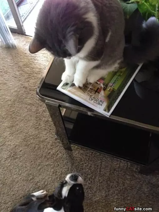 Get Away From Me