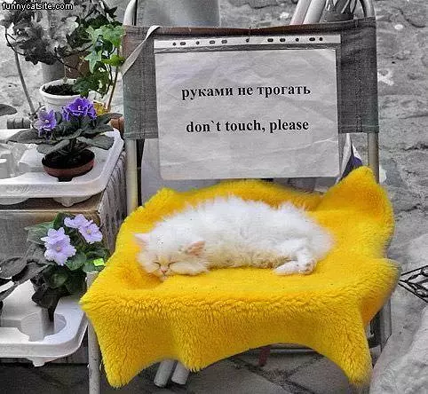Dont Touch