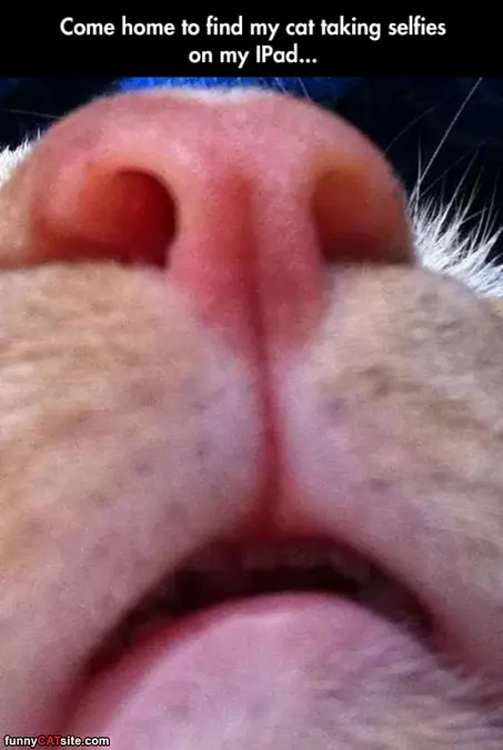 Taking Some Selfies