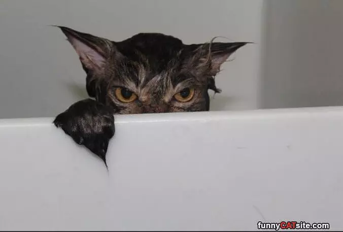 I See You Sleeping