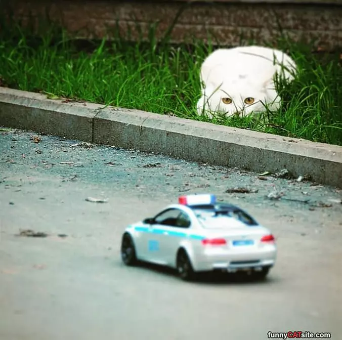 Getting The Police Car