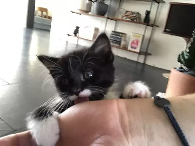Nommm Nom Nom