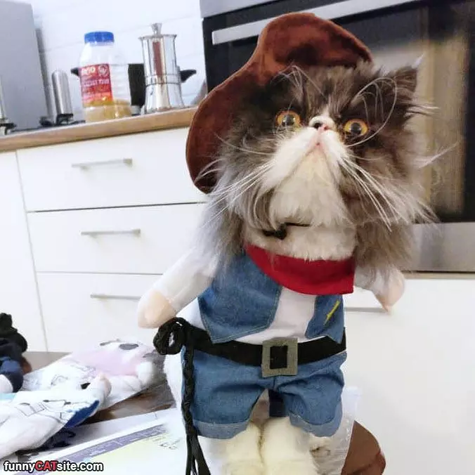 Yarrrr