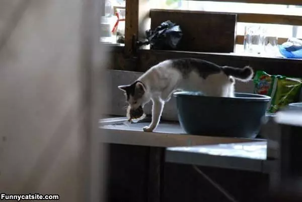Caught Some Lunch