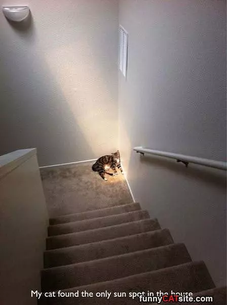 Found The Sun Spot