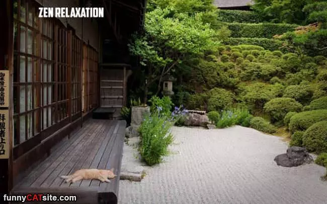 Relaxation