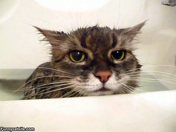 I Cant Stand Baths