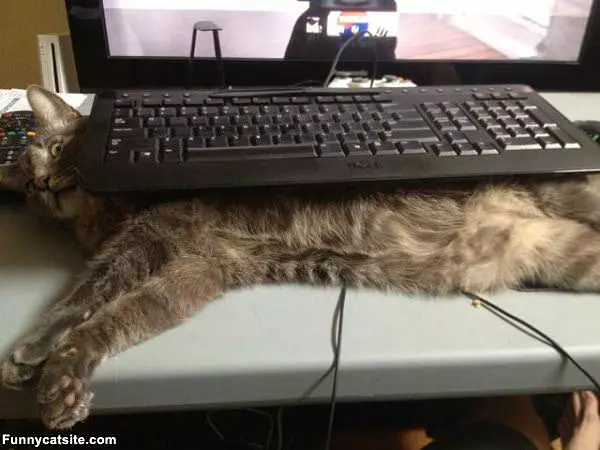 I Am Not A Table
