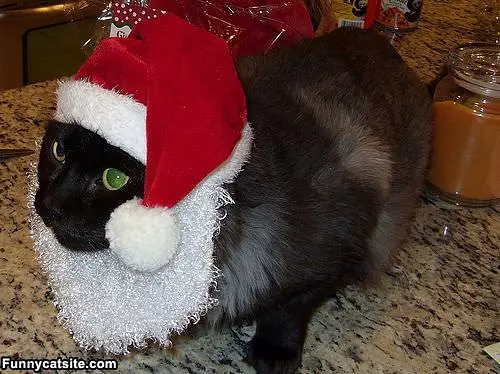 This Is Santa