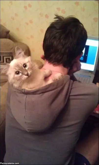 Best Spot In The House