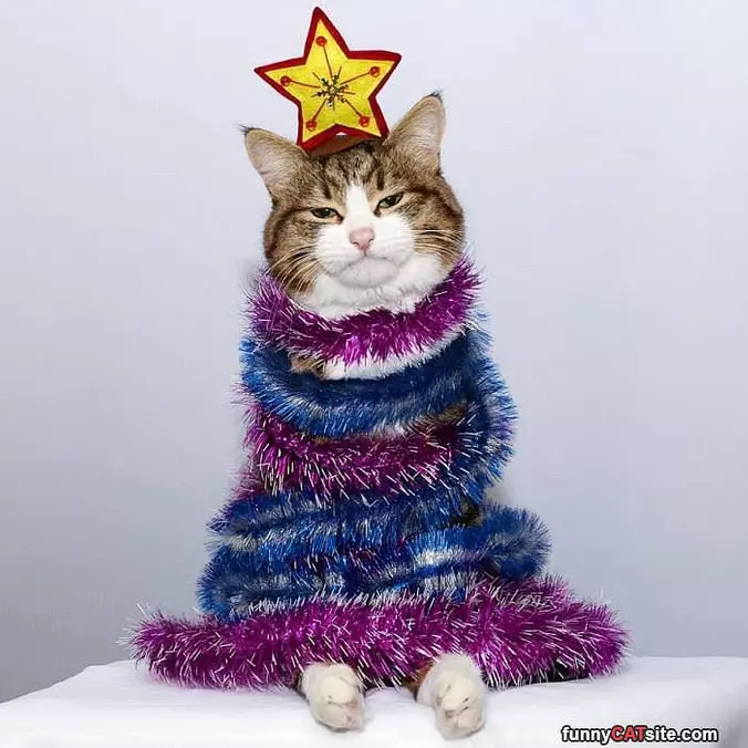A Sad Christmas Tree