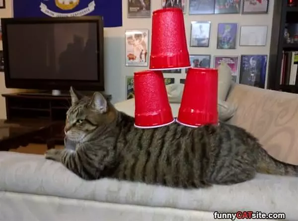 Stack Them High