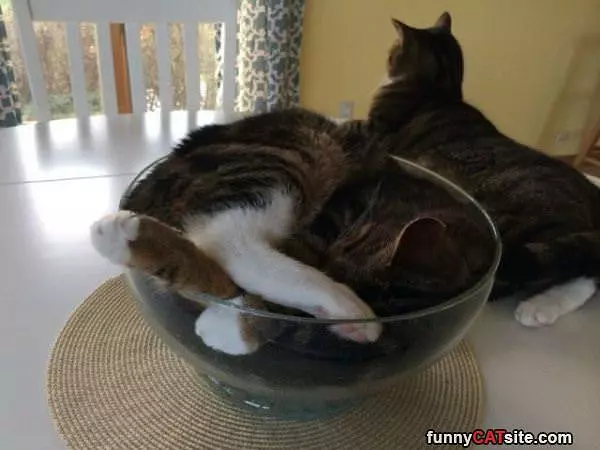 Sleep Where I Want