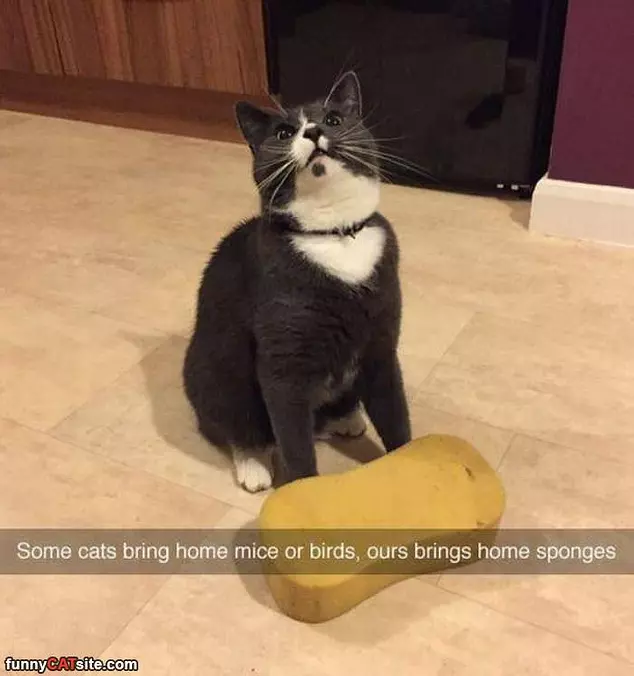 A Great Hunter