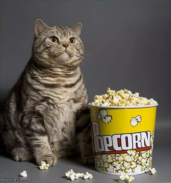 Popcorn