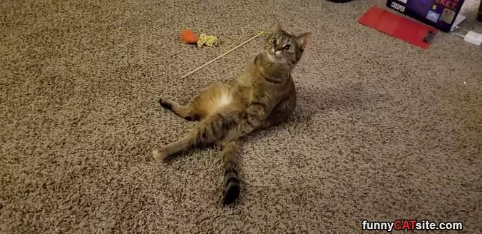 Play Time