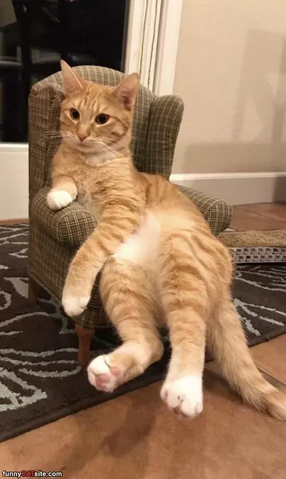 Just Relaxed