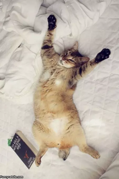 Not Waking Up