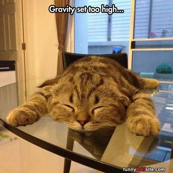 Gravity Too High