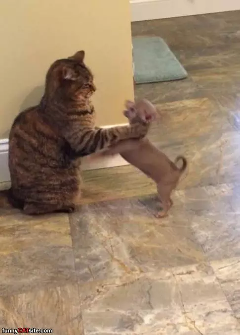 Going To Get You