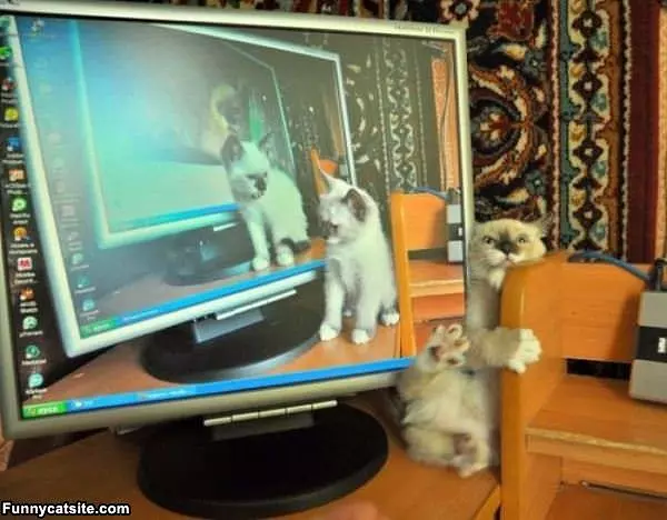 Halp I Stuck