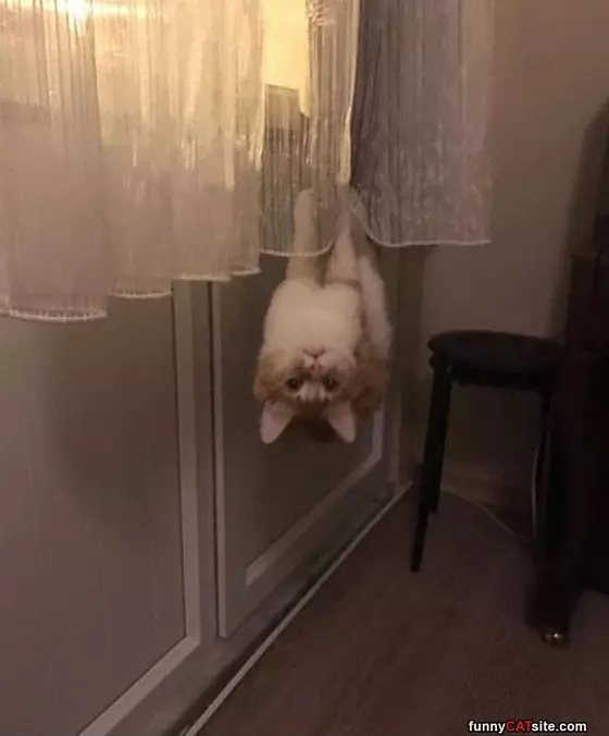 Hanging Around Here
