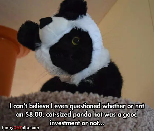 Questioned