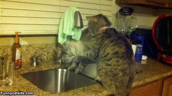 Its Bath Time