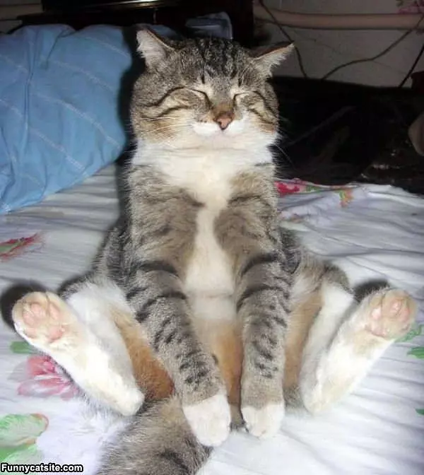 I Am So Relaxed
