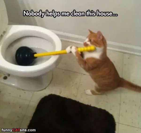 Nobody Helps