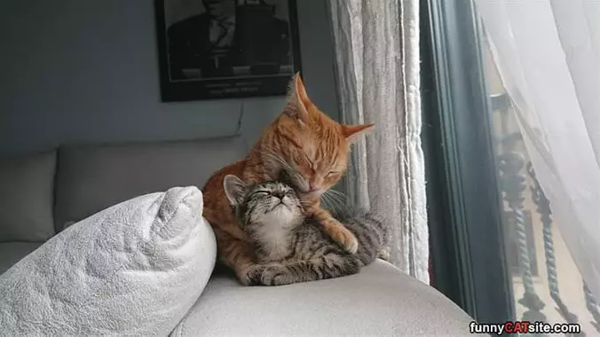 We Are Together