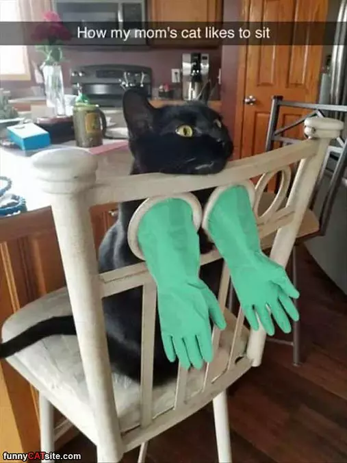 Can You Just Sit Here