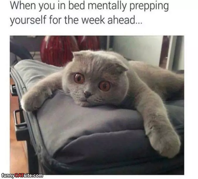 Barely Prepared