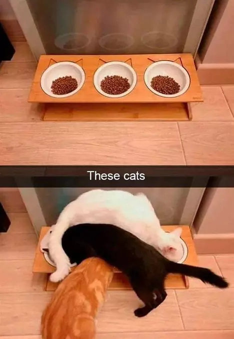 How We Eat