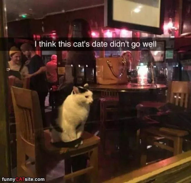 Date Did Not Go Well