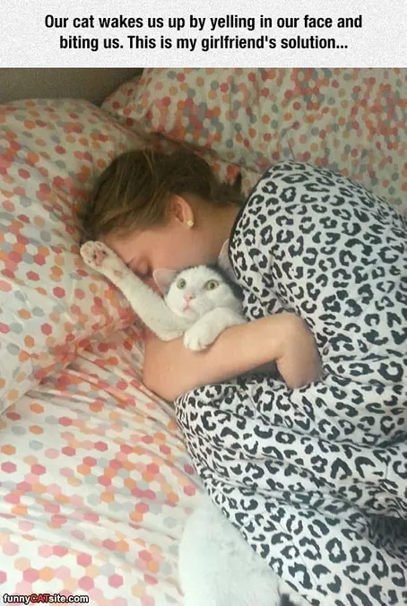 How Our Cat Wakes Us Up