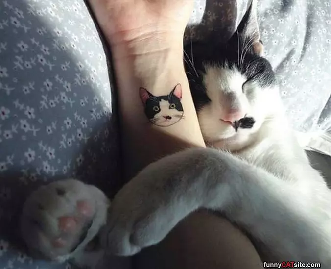 Hugging It Out