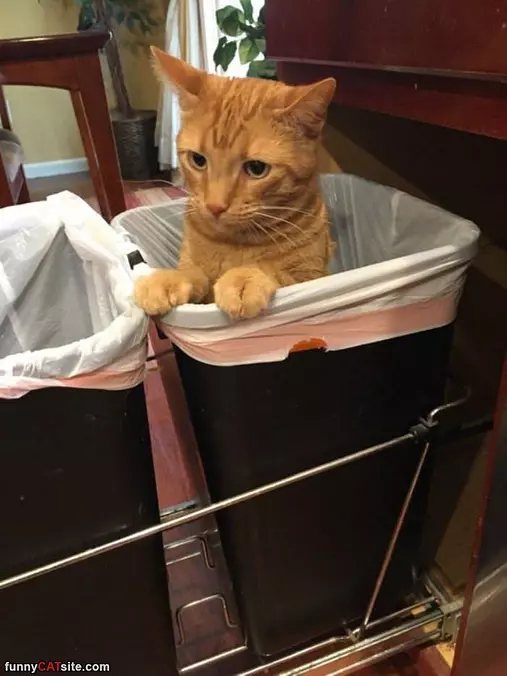 Nothing Good In Here