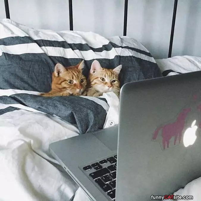 Tucked In Watching Movies