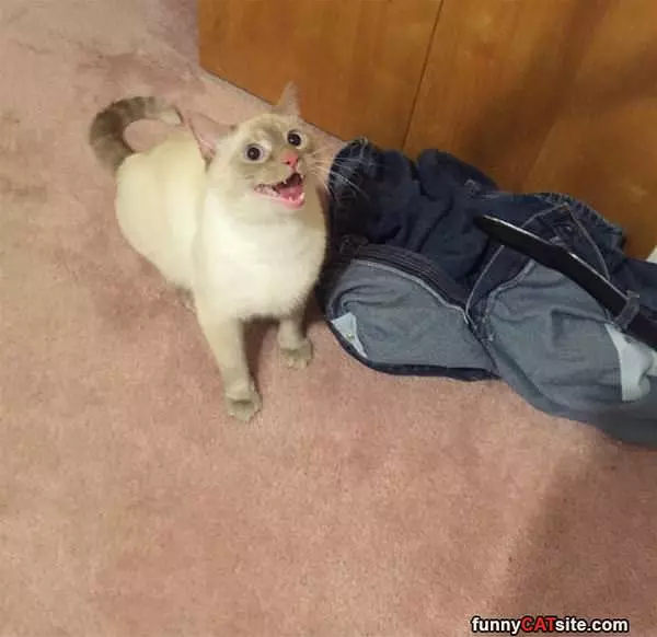 Heyyyyy
